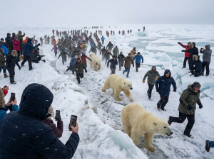 Rituales sin territorio - Artico