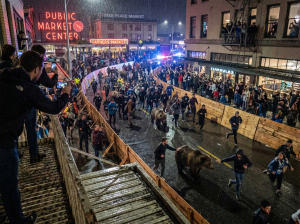 Rituales sin territorio - Seattle